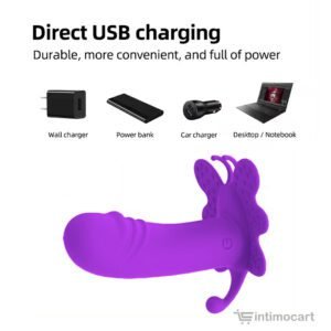 Butterfly Remote Vibrator, Buy sex toys in Chennai - discreet delivery,Sex toys in Chennai online store