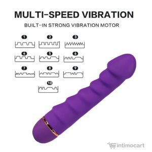 Festiv Classic Vibrator